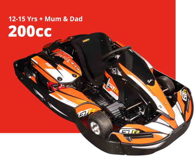12-15 years family fun kart