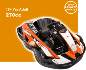 Adult 270cc karts